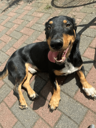 2026 01 19 09 30 44 Quick Alignment New Marketing Project Besprechung