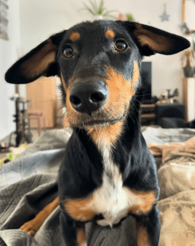 2026 01 19 09 30 48 Quick Alignment New Marketing Project Besprechung