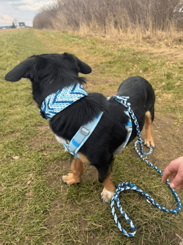 2026 01 19 09 31 00 Quick Alignment New Marketing Project Besprechung