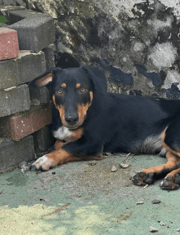 2026 01 19 09 31 04 Quick Alignment New Marketing Project Besprechung