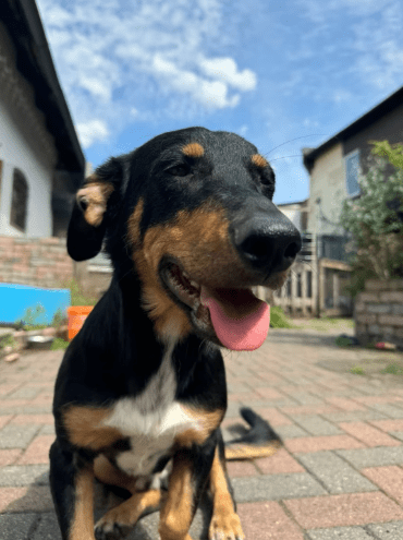 2026 01 19 09 31 08 Quick Alignment New Marketing Project Besprechung