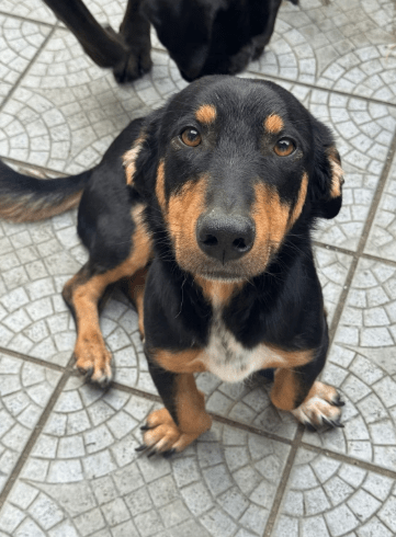 2026 01 19 09 31 12 Quick Alignment New Marketing Project Besprechung