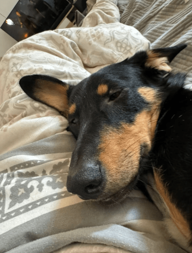 2026 01 19 09 31 23 Quick Alignment New Marketing Project Besprechung