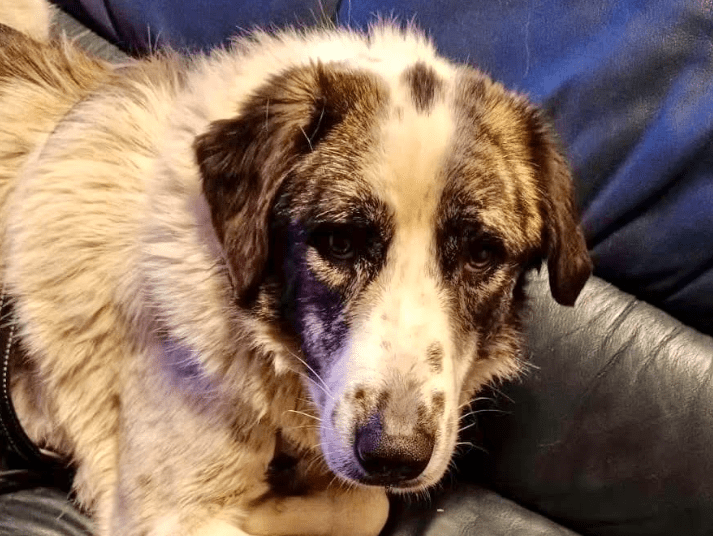 2025 12 09 09 27 35 Greenshot