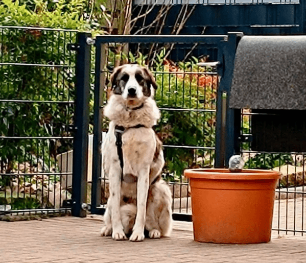 2025 12 09 09 27 45 Greenshot