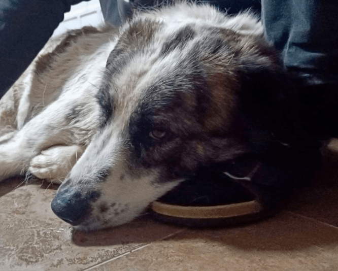 2025 12 09 09 27 52 Greenshot