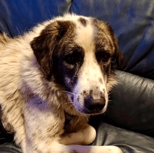 2025 12 09 09 27 56 Greenshot