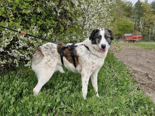 20260331 160148 copy 1000x750 copy 500x375