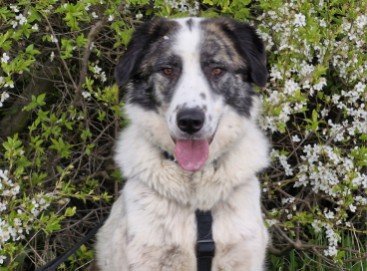 20260331 160218(1) copy 735x543 copy 367x271