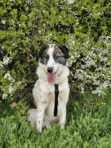 20260331 160228 copy 750x1000 copy 375x500