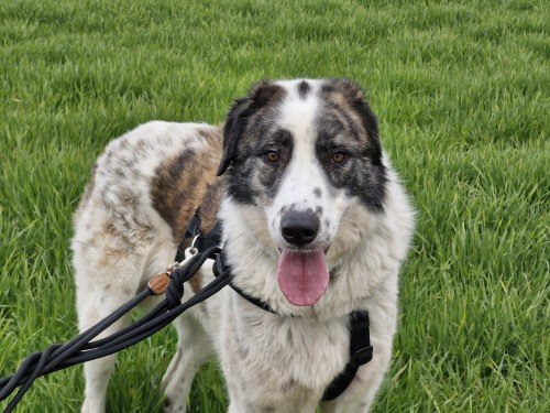 20260331 160740 copy 1000x750 copy 500x375