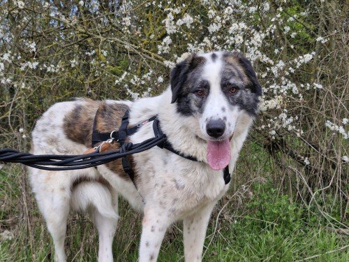 20260331 160950 copy 1000x750 copy 500x375