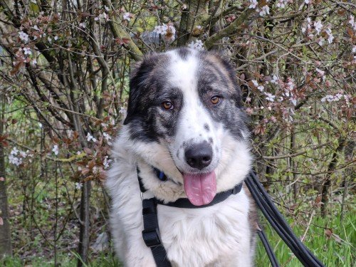 20260331 161634 copy 1000x750 copy 500x375