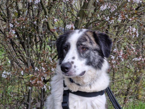 20260331 161638 copy 1000x750 copy 500x375