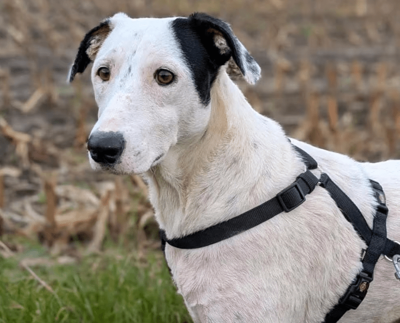 2025 09 26 10 14 23 chat kampmeyer, katherine microsoft teams