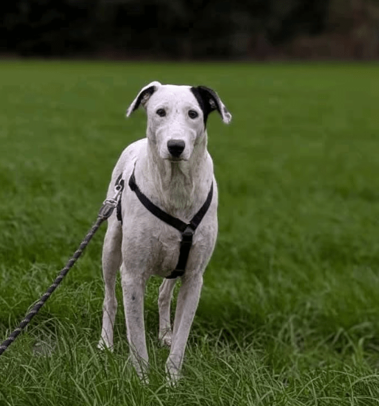 2025 09 26 10 14 31 chat kampmeyer, katherine microsoft teams