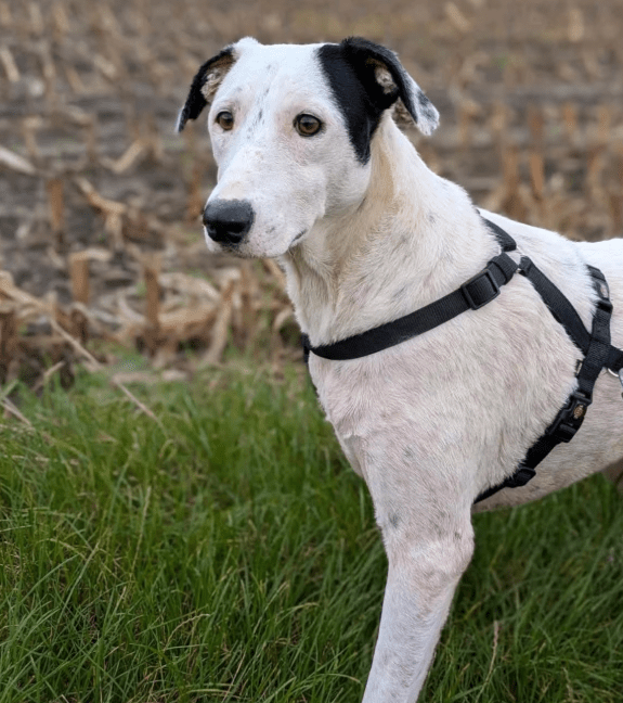 2025 09 26 10 14 34 chat kampmeyer, katherine microsoft teams