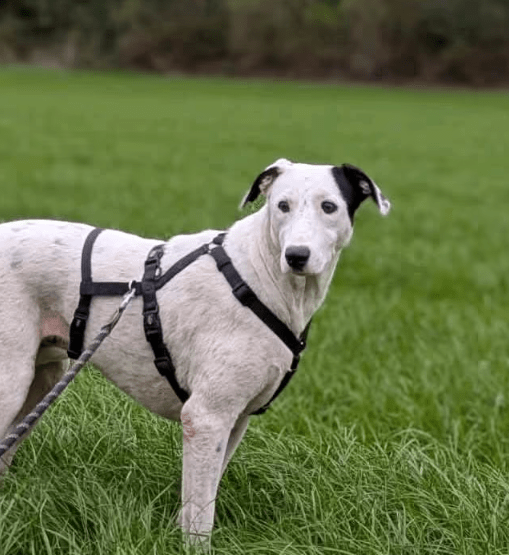 2025 09 26 10 14 37 chat kampmeyer, katherine microsoft teams