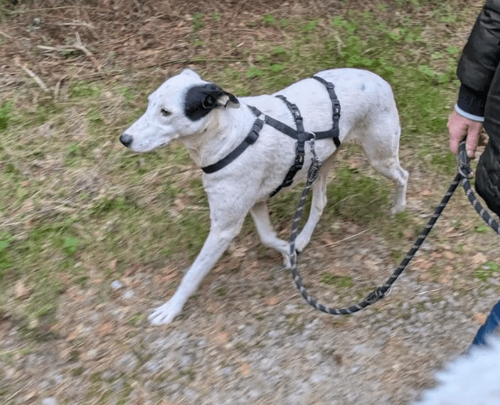 2025 09 26 10 14 41 chat kampmeyer, katherine microsoft teams