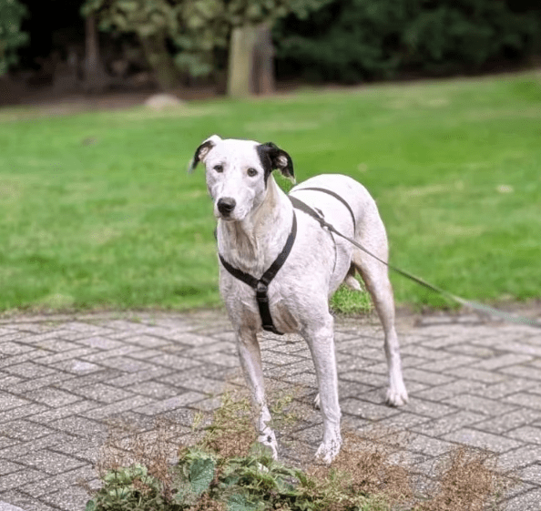 2025 09 26 10 14 47 chat kampmeyer, katherine microsoft teams