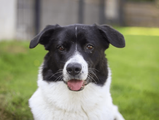 2026 01 19 09 24 14 Quick Alignment New Marketing Project Besprechung