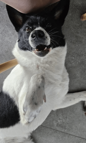 2026 01 19 09 24 22 Quick Alignment New Marketing Project Besprechung