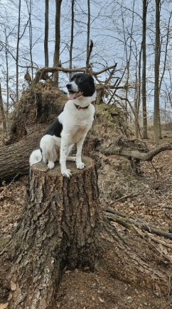 2026 01 19 09 24 26 Quick Alignment New Marketing Project Besprechung