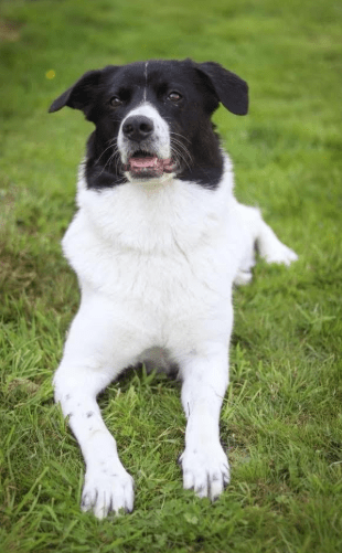 2026 01 19 09 24 29 Quick Alignment New Marketing Project Besprechung