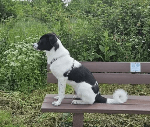 2026 01 19 09 24 34 Quick Alignment New Marketing Project Besprechung