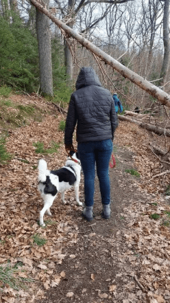 2026 01 19 09 24 39 Quick Alignment New Marketing Project Besprechung