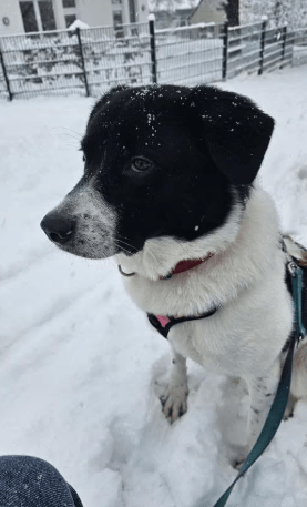 2026 01 19 09 24 46 Quick Alignment New Marketing Project Besprechung