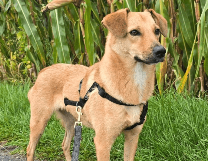 2025 10 05 15 51 37 posteingang sina.rieke kroeger@oetker.com outlook