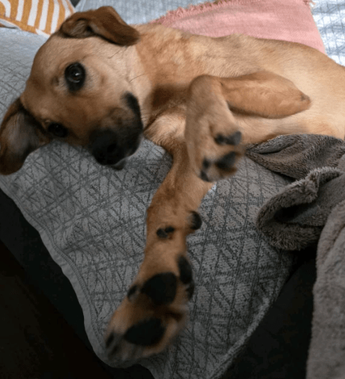 2025 10 05 15 51 44 posteingang sina.rieke kroeger@oetker.com outlook