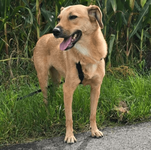 2025 10 05 15 51 51 posteingang sina.rieke kroeger@oetker.com outlook