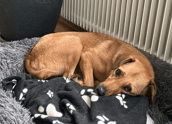 2025 10 05 15 51 58 posteingang sina.rieke kroeger@oetker.com outlook