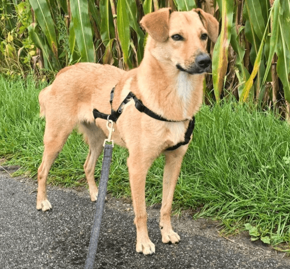 2025 10 05 15 52 04 posteingang sina.rieke kroeger@oetker.com outlook