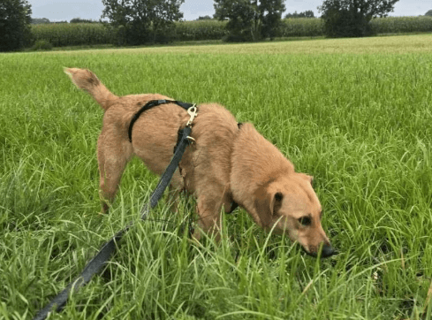 2025 10 05 15 52 12 posteingang sina.rieke kroeger@oetker.com outlook