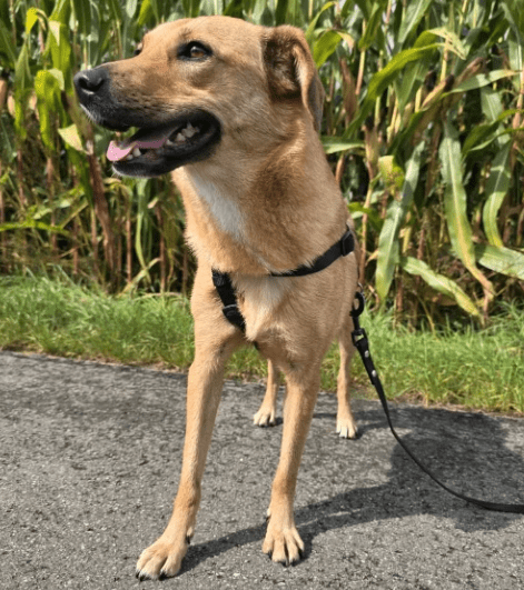 2025 10 05 15 52 22 posteingang sina.rieke kroeger@oetker.com outlook