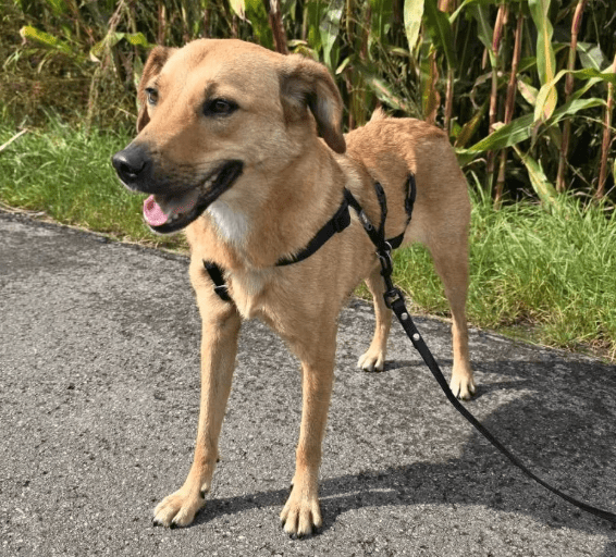 2025 10 05 15 52 31 posteingang sina.rieke kroeger@oetker.com outlook