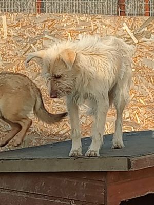 589753665 1273767551445602 7021813039159839847 n