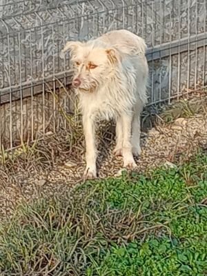 590206827 1770832366923101 4906469660440818343 n