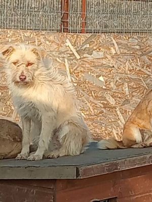 590497259 24562700400069635 7258770812387324462 n