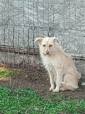 590497259 2693337354337692 6633311950510271284 n