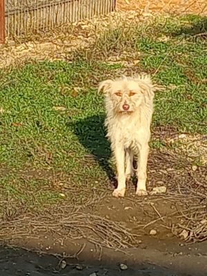 591210266 876579428266659 3007606395075058782 n