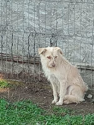 591222280 829071233444206 7238908049475156473 n