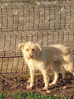 591228944 1563407425087860 527935056789763650 n