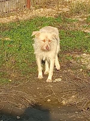 591284101 854298440827716 5566472116694685911 n