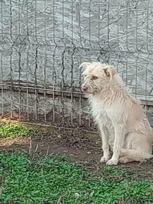 592108630 1516153769600372 4011178430020380672 n