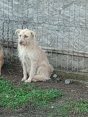 592268656 851986587820233 2888146416741847772 n