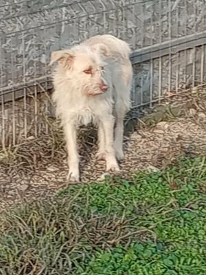 593404514 1358141775789721 2669821003428643924 n